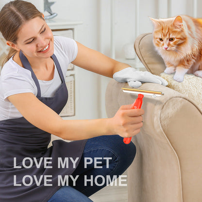 PET Hair Remover Brush for Carpets Rugs and Car Mats