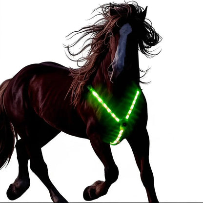 USB Rechargeable LED Horse Harness with Adjustable Straps