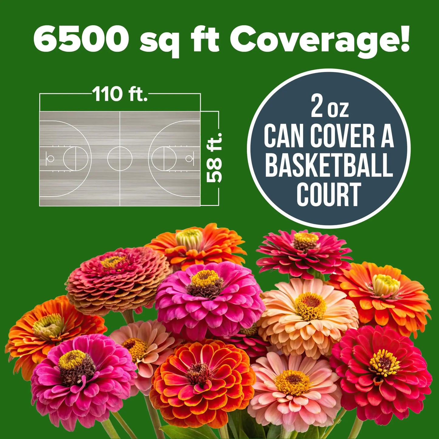 Zinnia Seeds Mix - Heirloom California Giant & Dahlia Flower Seeds