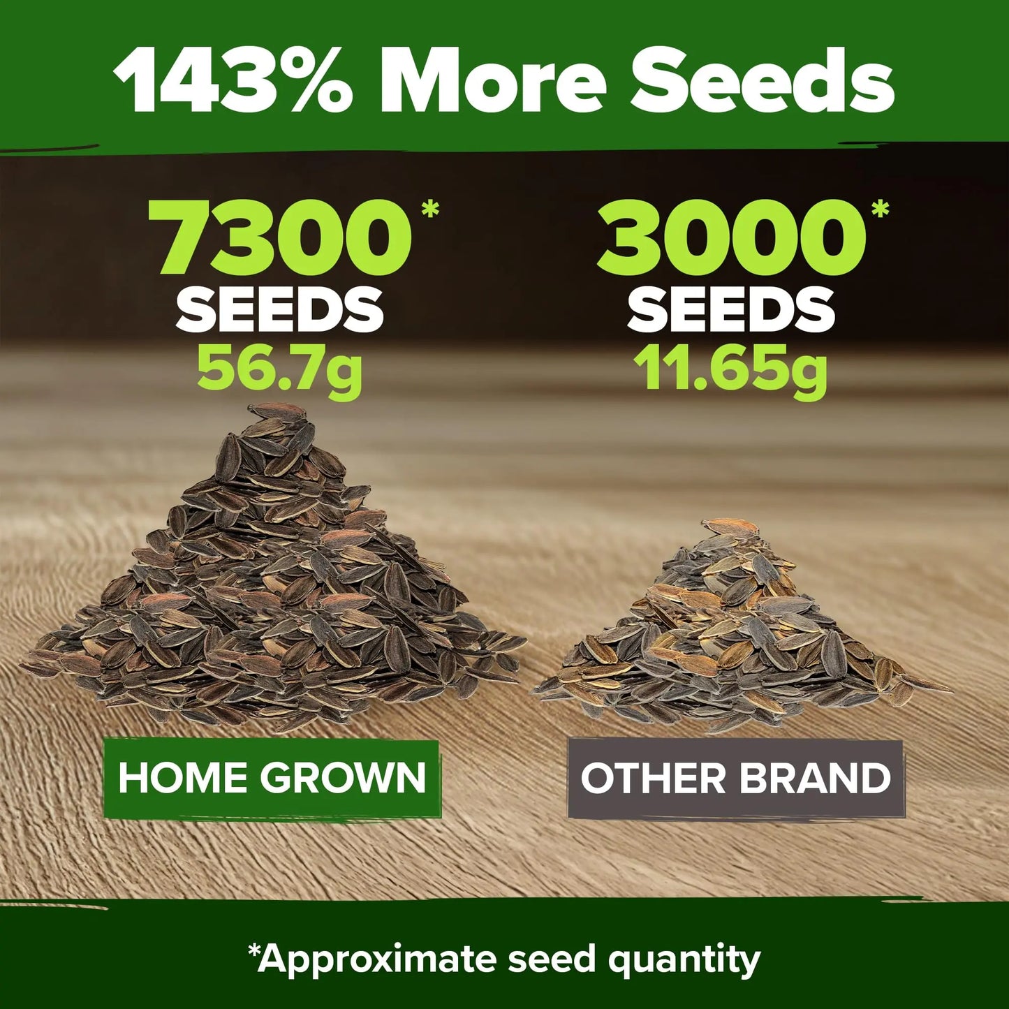 Zinnia Seeds Mix - Heirloom California Giant & Dahlia Flower Seeds