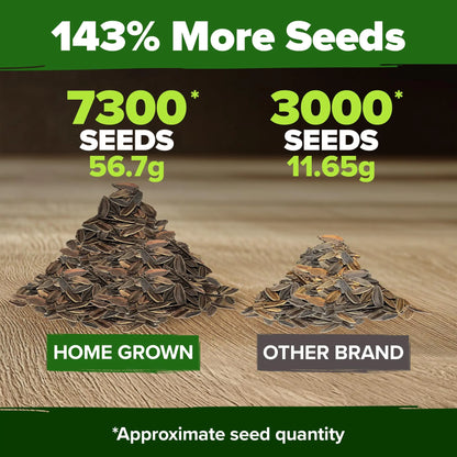 Zinnia Seeds Mix - Heirloom California Giant & Dahlia Flower Seeds