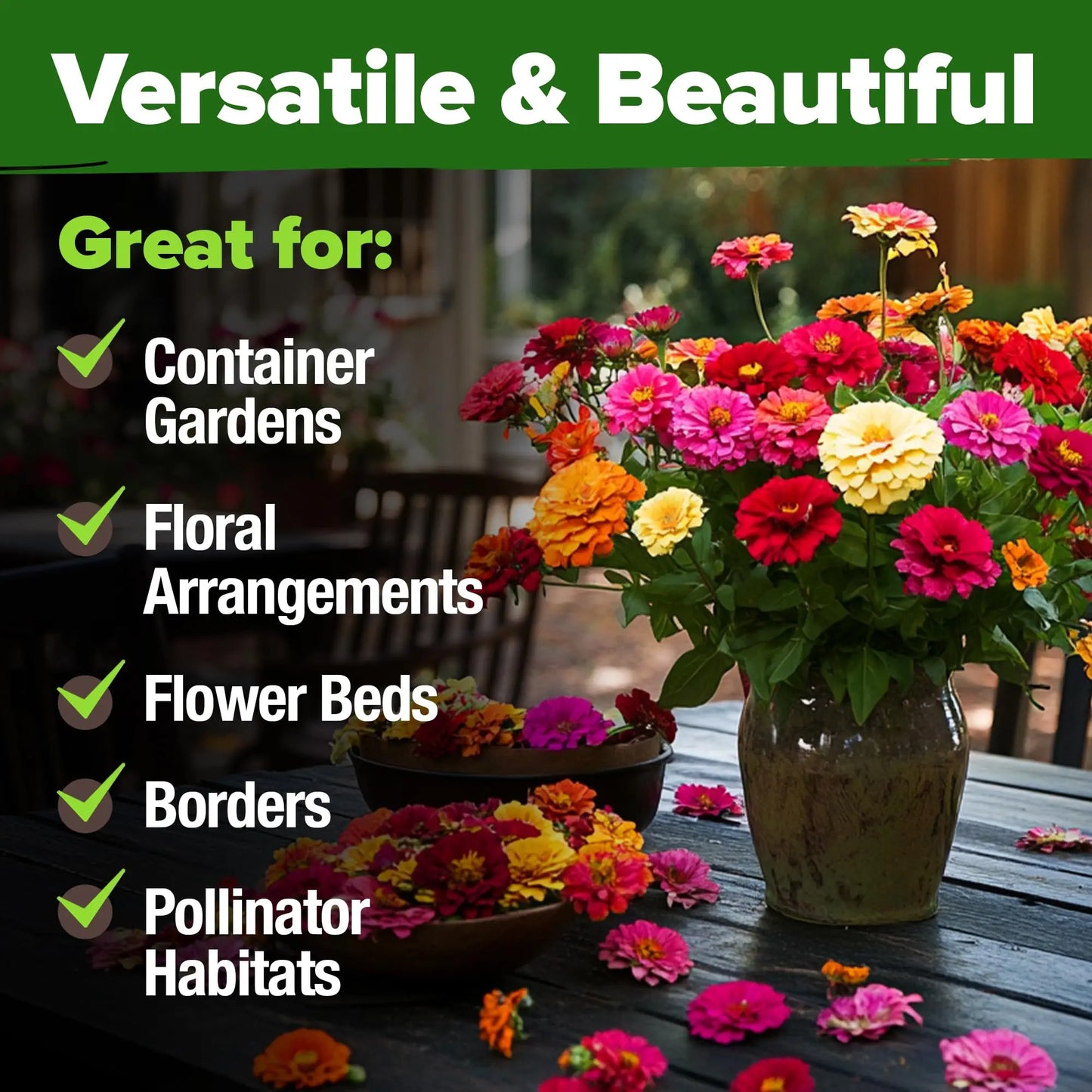 Zinnia Seeds Mix - Heirloom California Giant & Dahlia Flower Seeds