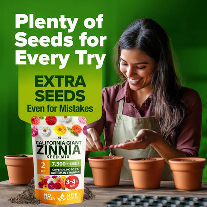 Zinnia Seeds Mix - Heirloom California Giant & Dahlia Flower Seeds