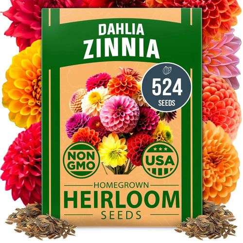 Zinnia Seeds Mix - Heirloom California Giant & Dahlia Flower Seeds