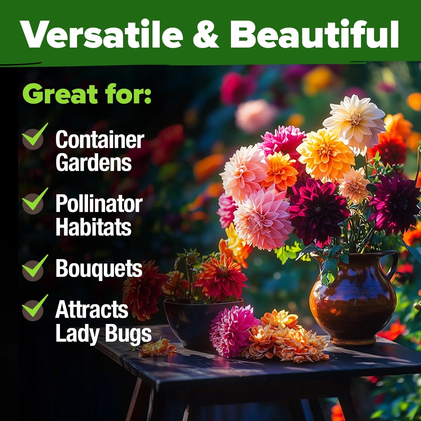 Zinnia Seeds Mix - Heirloom California Giant & Dahlia Flower Seeds