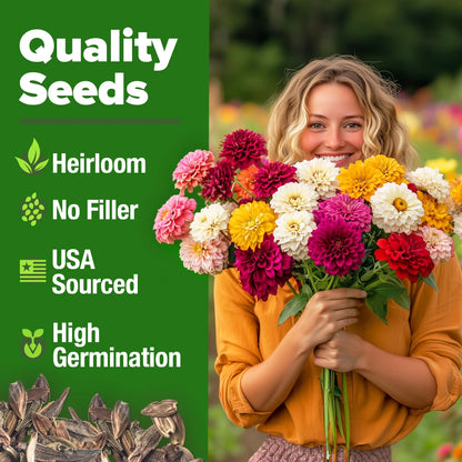 Zinnia Seeds Mix - Heirloom California Giant & Dahlia Flower Seeds