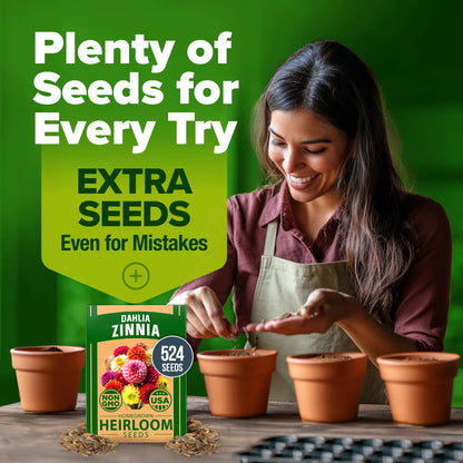 Zinnia Seeds Mix - Heirloom California Giant & Dahlia Flower Seeds