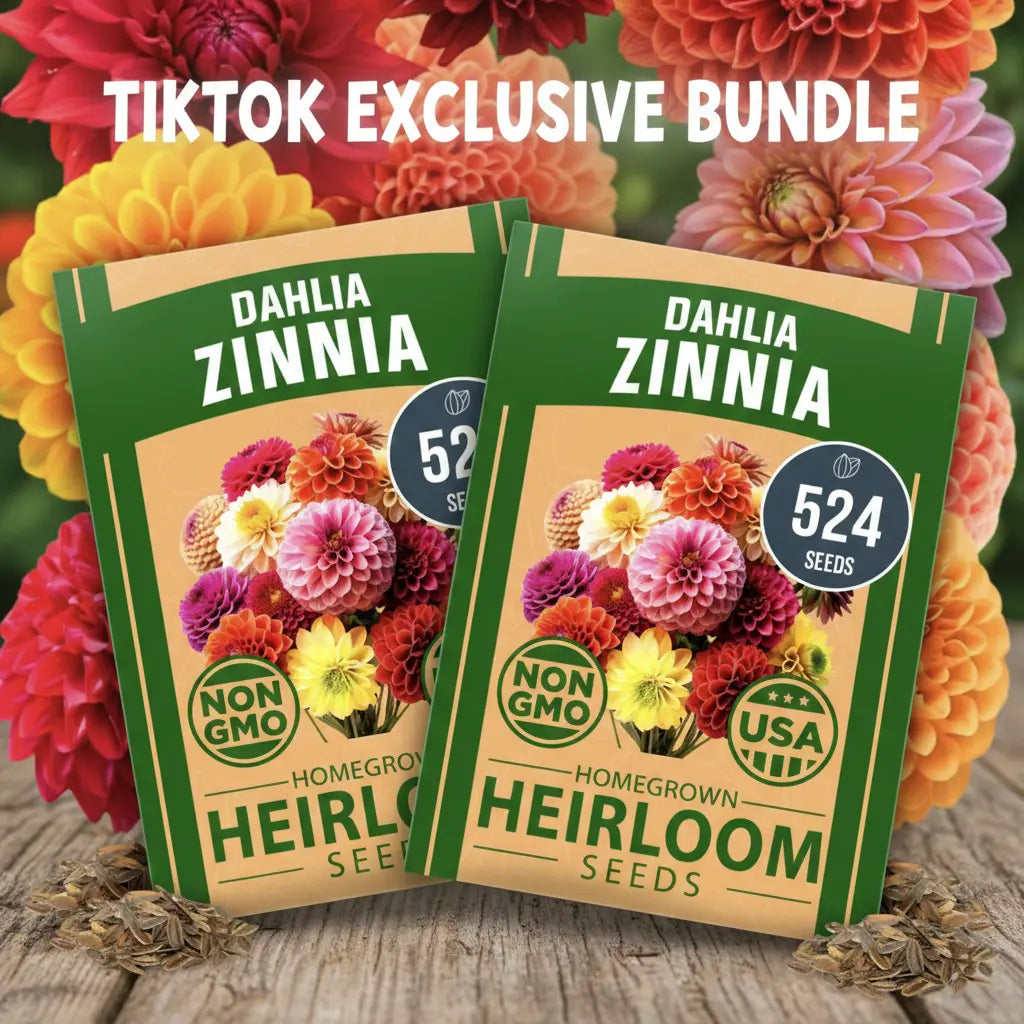 Zinnia Seeds Mix - Heirloom California Giant & Dahlia Flower Seeds