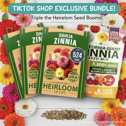 Zinnia Seeds Mix - Heirloom California Giant & Dahlia Flower Seeds